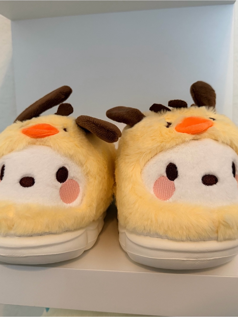Pochacco Bundle Slippers & Large Plushie